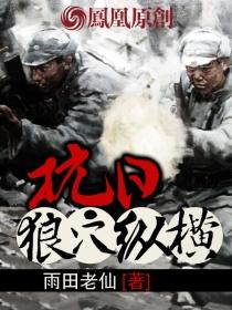 抗日狼烟万里全文阅读
