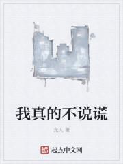 我真没说谎