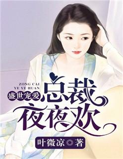 总裁夜夜盛宠