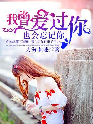 我曾爱过你是什么意思