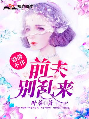 婚情难续前夫别纠缠在线阅读