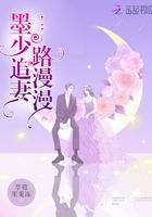 墨少追妻路漫漫全集