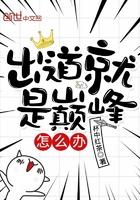 出道即巅峰褒义 还是贬义