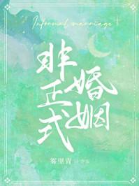 非正式婚姻by雾里青TXT