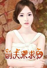前夫求爱记电视剧40全集