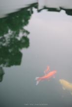 传说中的女神txt百度