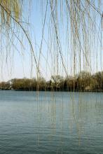 云端 番外