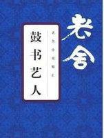鼓书艺人图片大全