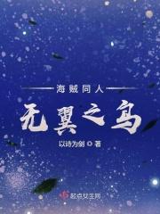 海贼王之无情