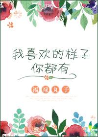 我喜欢的样子你都有歌词