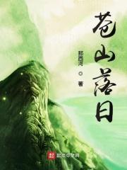 日暮苍山远中的苍山是什么意思