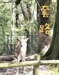 套路人的脑筋急转弯