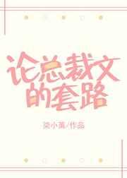 总裁文常用梗