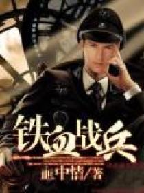 电视连续剧铁血战将