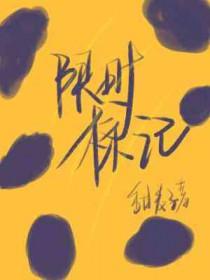 限时路标图片大全图解