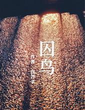 囚鸟内容
