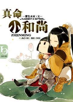 真命小和尚 电视剧