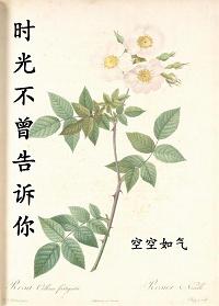 时光不曾慢全文