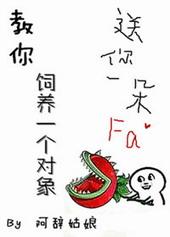 教你饲养一个对象视频
