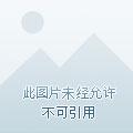 末世围城进不去