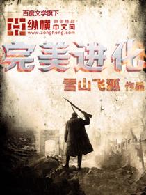 完美进化从全职猎人开始