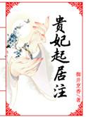 贵妃起居注提取码