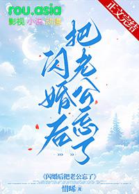 闪婚老公误嫁天价老公免费读