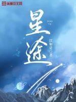 星途揽月是什么品牌的车