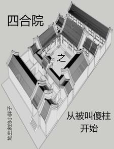 四合院从和傻柱分家开始
