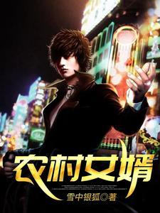 女婿回村