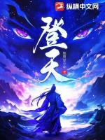 登天的感觉这本书主要讲述了什么