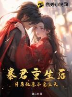 暴君重生后将原配妻子宠上天解说