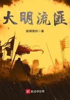 大明流匪sodu