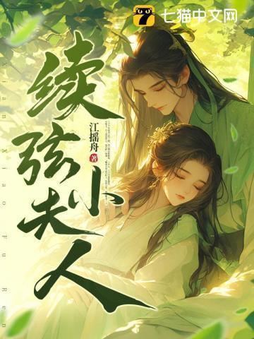 续弦小夫人结局
