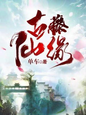 古藤gotem介绍