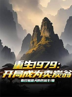 重生1979开局从分家开始