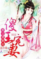 傻子王妃嫁傻王全文免费