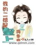 二婚皇妃的自我修养txt