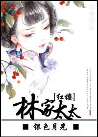 红楼之林家太太银色月光