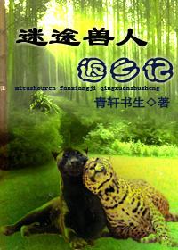 hp迷途归返