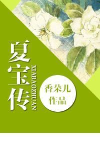 夏宝传ⅲ防盗章节