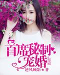 首席总裁秘密宠