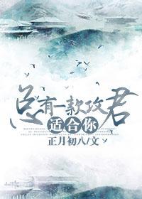 总有一款总裁适合你 晋江