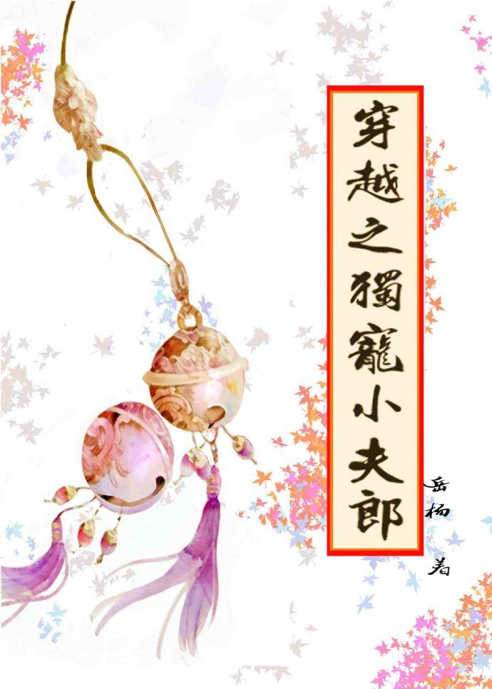 独宠小夫郎txt