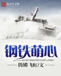 钢铁萌心魔导国宰相之争