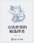 方块世界的视频