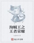 海贼王之王者降临