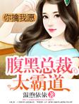 腹黑总裁你别闹