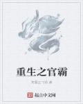 重生之官道免费阅读