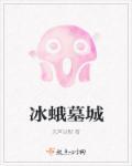 冰岛地图